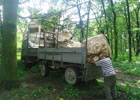 �²� ������������ �����̲����