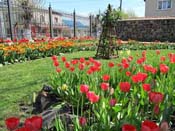 �����, ���� ����� :)