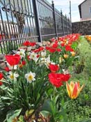 �����, ���� ����� :)