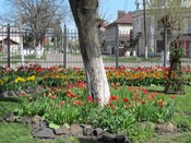 �����, ���� ����� :)