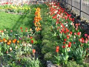 �����, ���� ����� :)