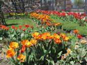 �����, ���� ����� :)