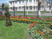 �����, ���� ����� :)