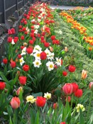 �����, ���� ����� :)