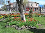 �����, ���� ����� :)