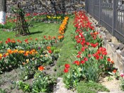 �����, ���� ����� :)